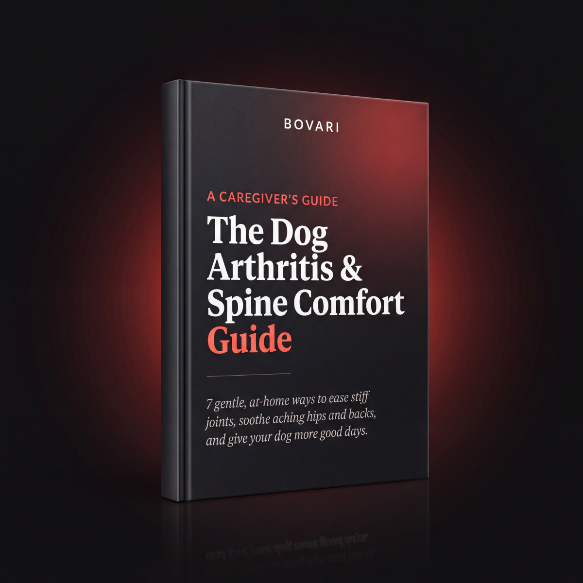 The Dog Arthritis & Spine Comfort Guide